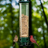 Bird Feeder Designed to Keep Squirrels Out