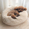 Relaxing Canine Bed