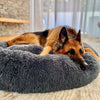 Relaxing Canine Bed