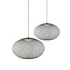 Metal Mesh Pendant Light