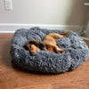 Relaxing Canine Bed