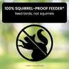 Bird Feeder Designed to Keep Squirrels Out