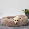 Relaxing Canine Bed