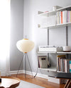 Rice Paper Lantern Floor Lamp