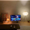Rice Paper Lantern Floor Lamp