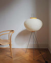 Rice Paper Lantern Floor Lamp