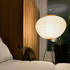 Rice Paper Lantern Floor Lamp
