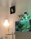 Rice Paper Lantern Floor Lamp