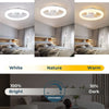 Contemporary Ceiling Fan Featuring Integrated LED Lighting