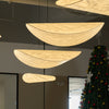 Dynamic Pendant Light