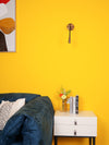Adjustable Flexi Wall Light