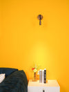 Adjustable Flexi Wall Light