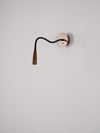 Adjustable Flexi Wall Light