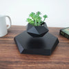 Trendy Floating Bonsai Pot with Magnetic Levitation - Stylish Black Wood Design for Home Decor and Unique Gifts