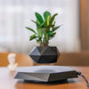 Trendy Floating Bonsai Pot with Magnetic Levitation - Stylish Black Wood Design for Home Decor and Unique Gifts