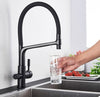 PureFlow Duo Kitchen Faucet with Dual Outlet and Water Filtration