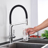 PureFlow Duo Kitchen Faucet with Dual Outlet and Water Filtration