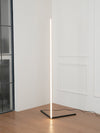 Sleek LED Floor Lamp with Minimalist Design