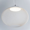 Metal Mesh Pendant Light