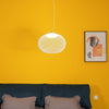 Metal Mesh Pendant Light