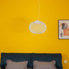 Metal Mesh Pendant Light
