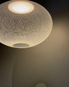 Metal Mesh Pendant Light
