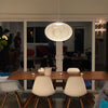 Metal Mesh Pendant Light