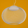 Metal Mesh Pendant Light