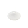 Metal Mesh Pendant Light