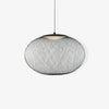Metal Mesh Pendant Light