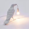 Raven-Inspired Resin Table Lamp