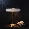 Revolving Table Lamp