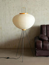 Rice Paper Lantern Floor Lamp