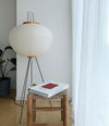 Rice Paper Lantern Floor Lamp