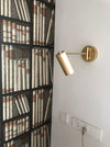 Adjustable Swing Arm Wall Light