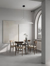 Dynamic Pendant Light