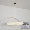 Dynamic Pendant Light