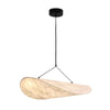 Dynamic Pendant Light