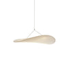 Dynamic Pendant Light