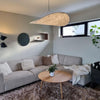 Dynamic Pendant Light