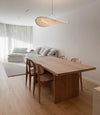 Dynamic Pendant Light