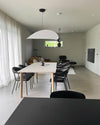 Dynamic Pendant Light