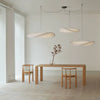 Dynamic Pendant Light