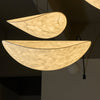 Dynamic Pendant Light
