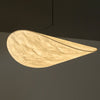 Dynamic Pendant Light