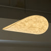 Dynamic Pendant Light
