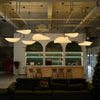 Dynamic Pendant Light