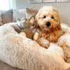 Relaxing Canine Bed
