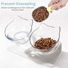 Elevated Orthopedic Cat Feeding Bowl