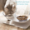 Elevated Orthopedic Cat Feeding Bowl